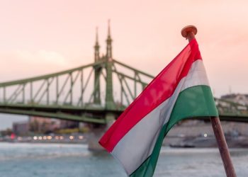 Hungarian Politician Péter Magyar Linked to $16.7 Million Ukraine Money Scheme